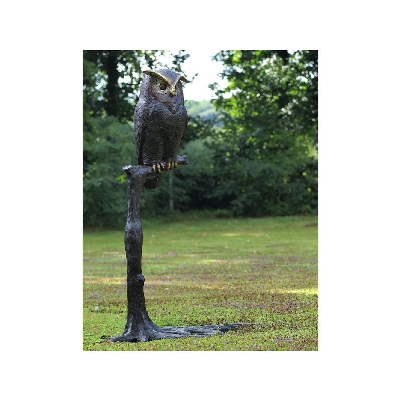 Hibou Sur Arbre — B57490