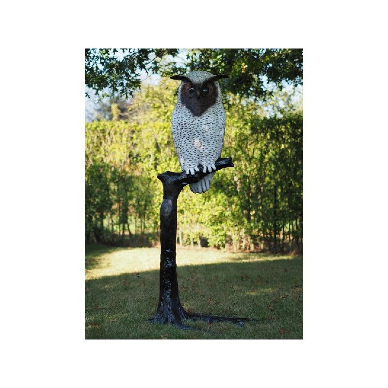 Hibou Blanc Sur Branche — B57490NC