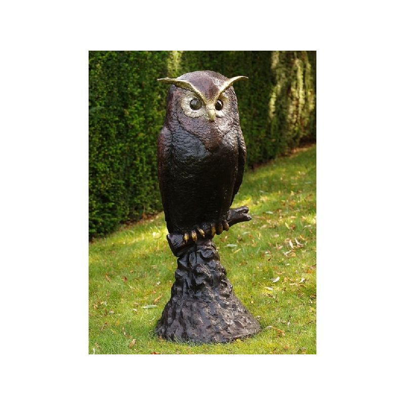 Hibou Sur Roche — B57491