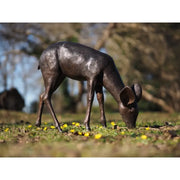 Faon broutant — B58831