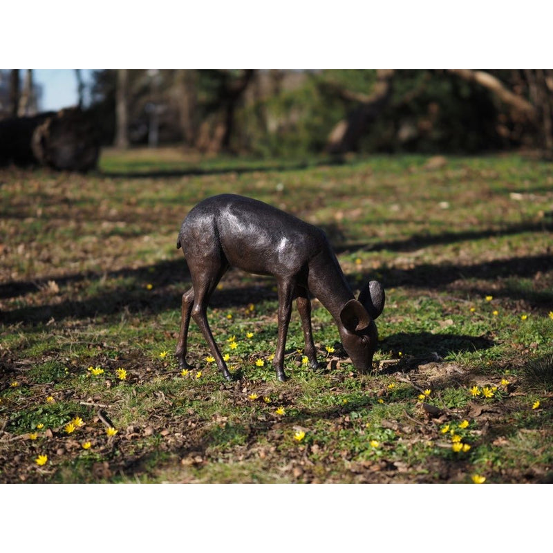 Faon broutant — B58831