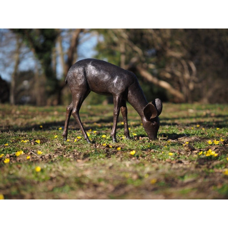 Faon broutant — B58831