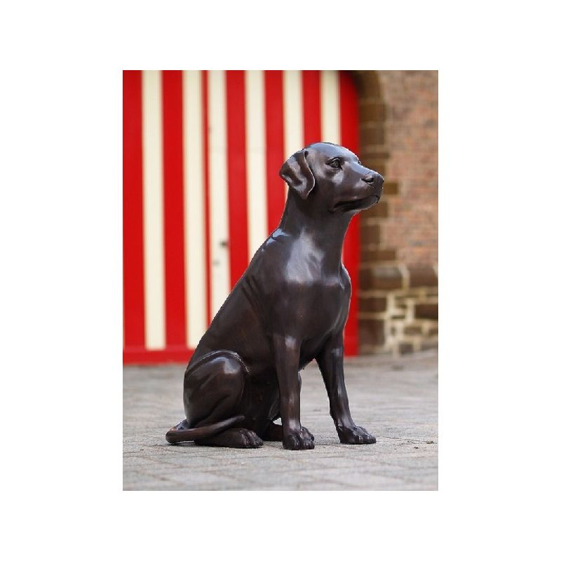 Chien — B678