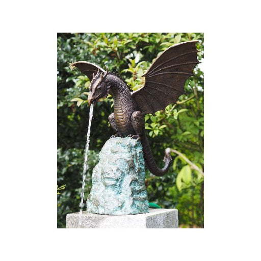 Dragon Sur Roche Fontaine — B679