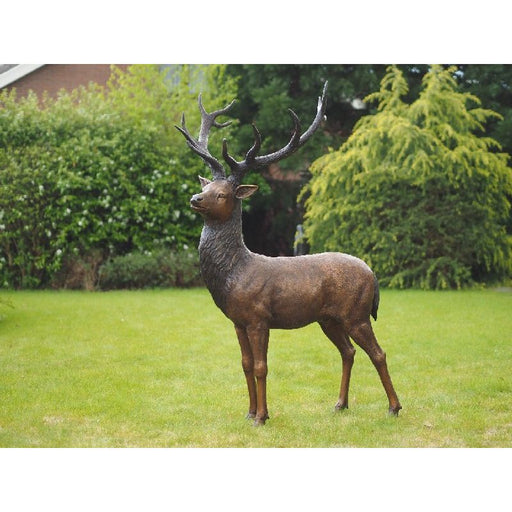 Cerf — B713