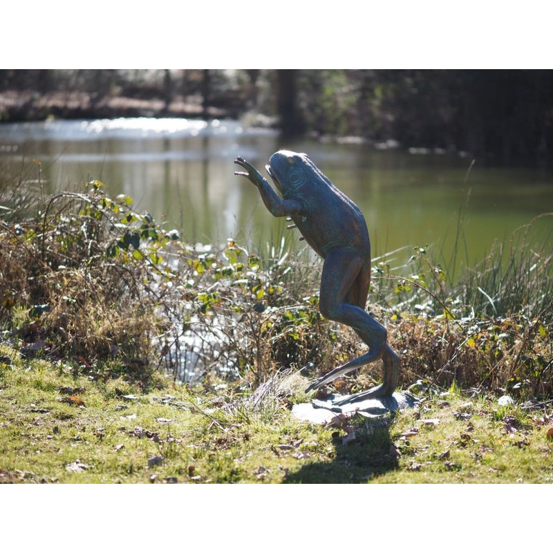 Grenouille sautante — B722
