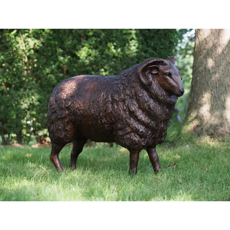 Mouton — B73013