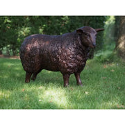 Mouton — B73015