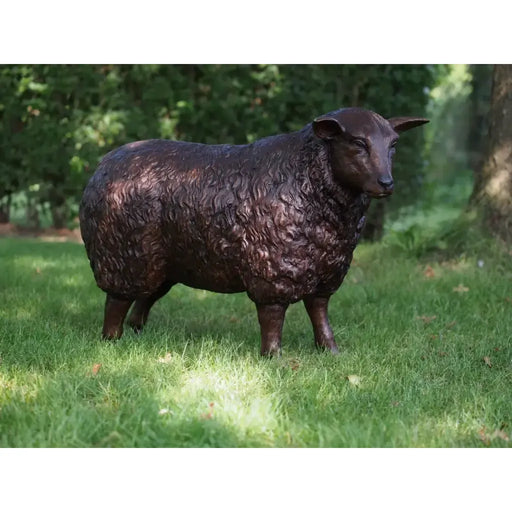 Mouton — B73015