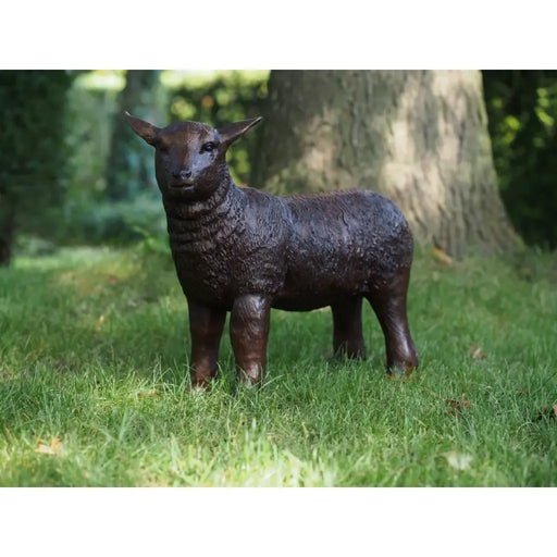 Agneau — B73017