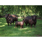 Agneau — B73017