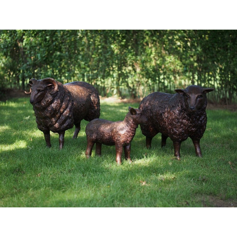 Agneau — B73017