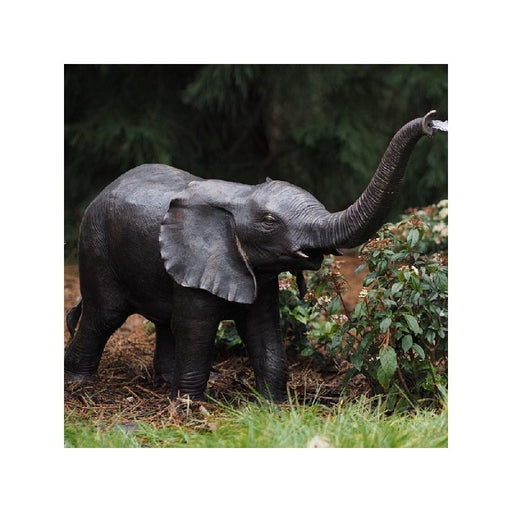Eléphant — B753