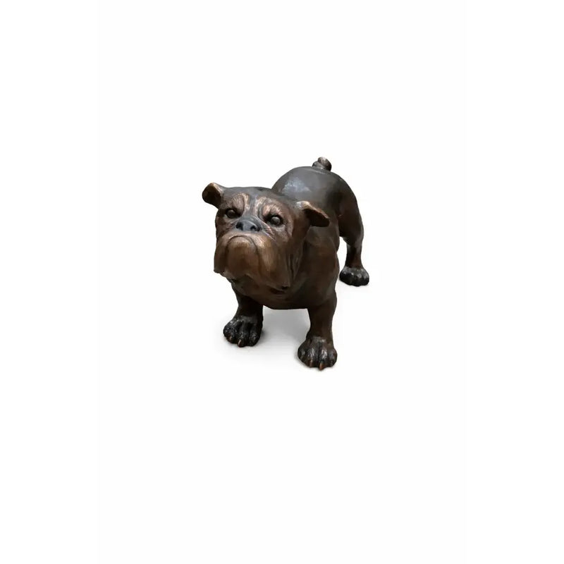 Bulldog — B81167