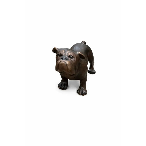 Bulldog — B81167