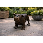 Bulldog — B81167