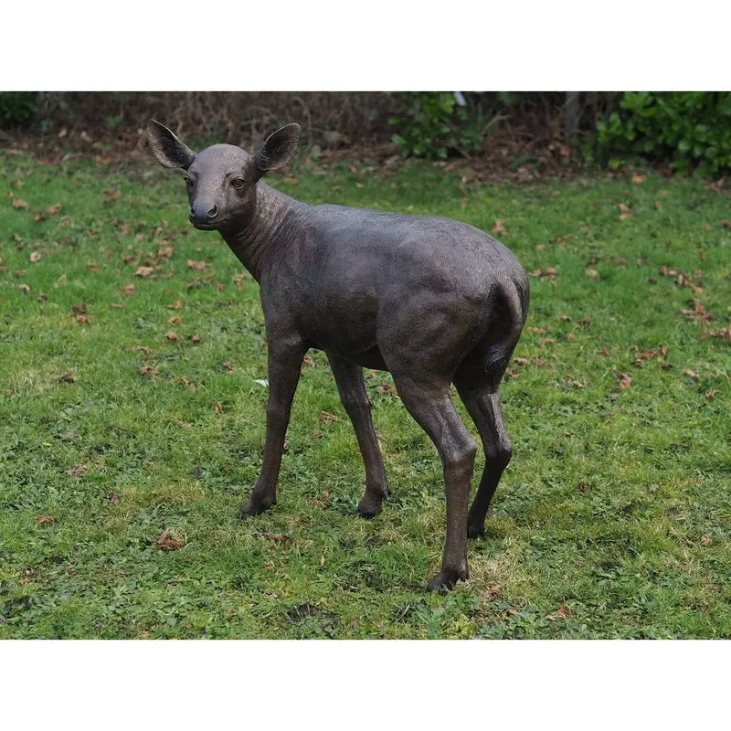 Biche — B837-1