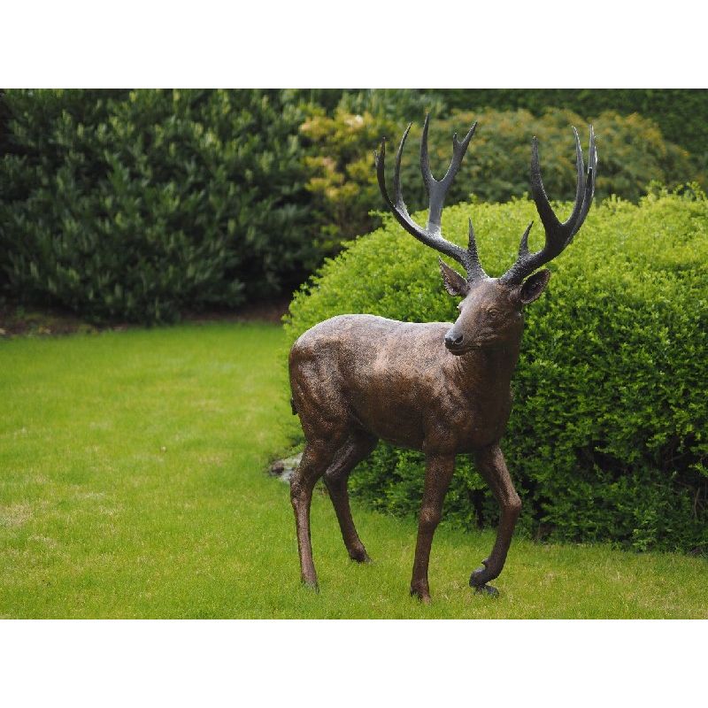 Cerf — B837