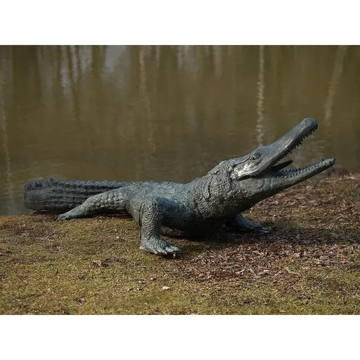 Crocodile Fontaine — B844