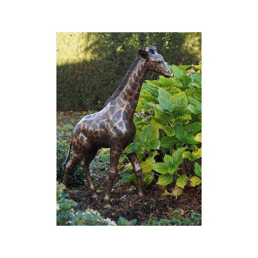Petite Girafe — B860-1