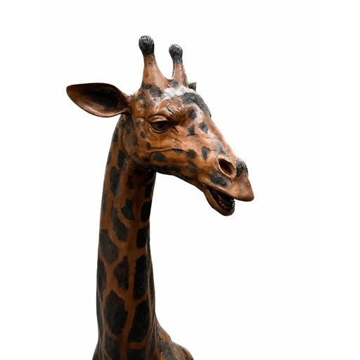 Grosse girafe — B860
