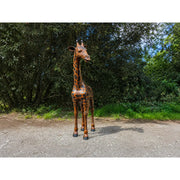 Grosse girafe — B860