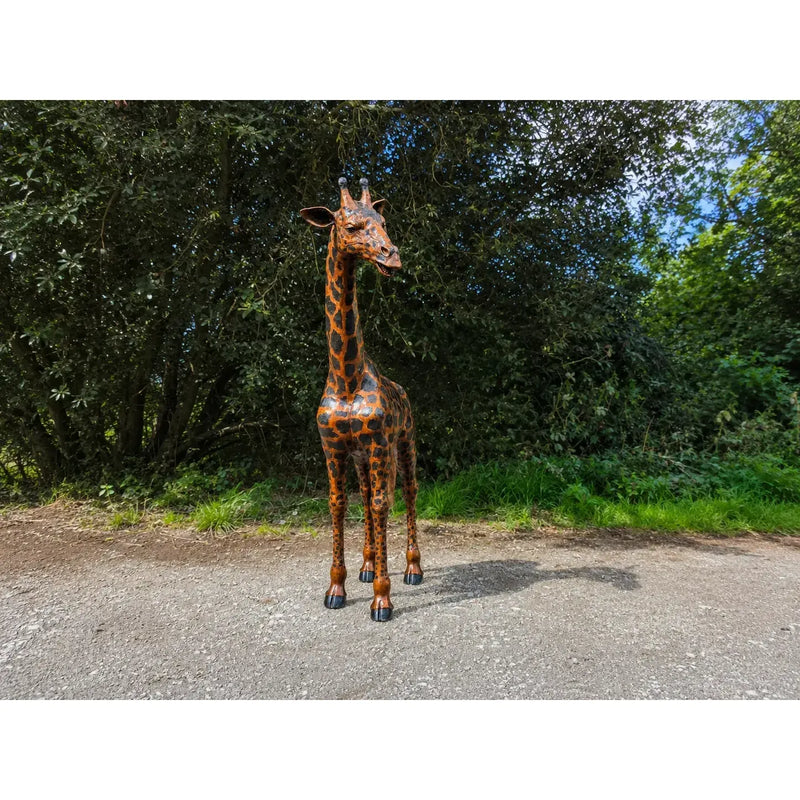 Grosse girafe — B860