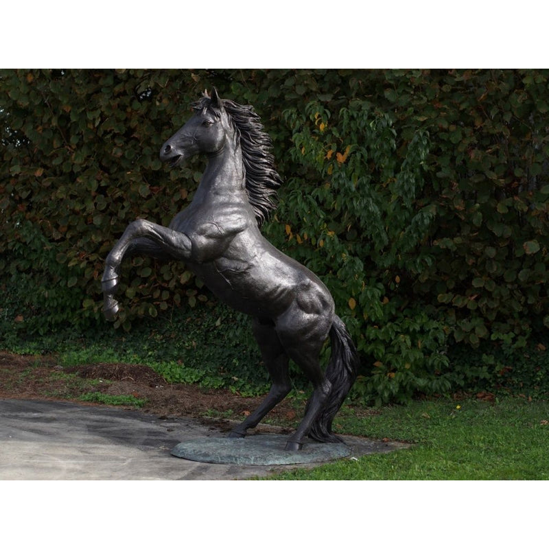 Cheval Cabrant — B910R