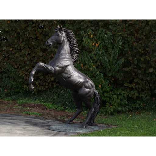 Cheval Cabrant — B910R