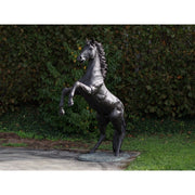 Cheval Cabrant — B910R