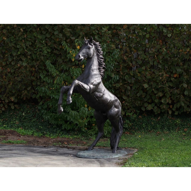 Cheval Cabrant — B910R