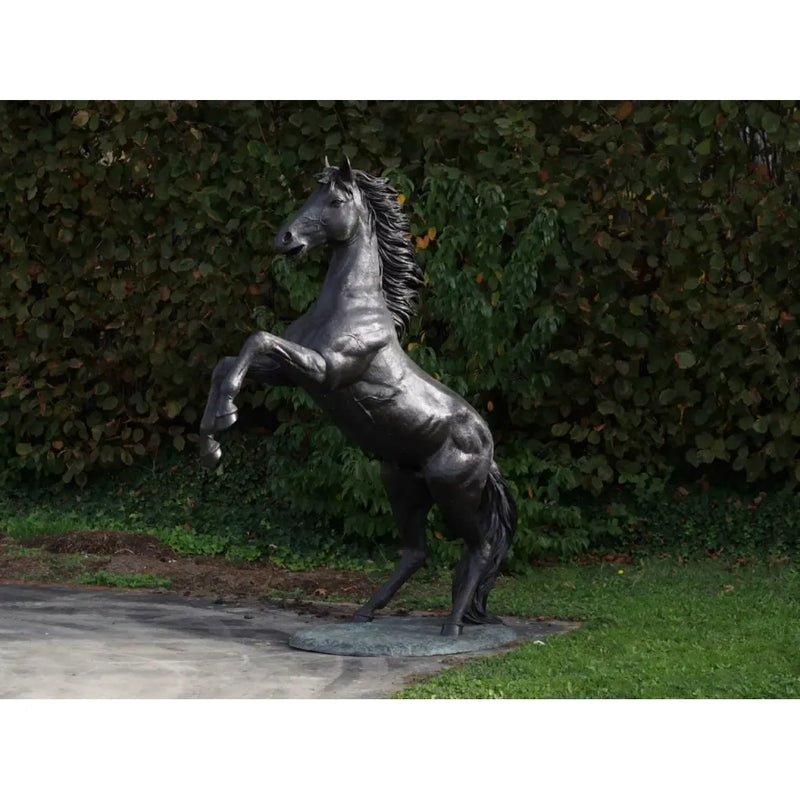 Cheval Cabrant — B910R