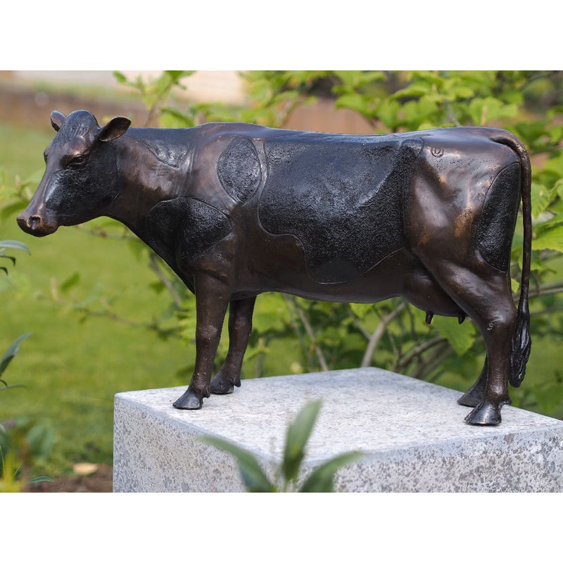 Petite Vache — B91154