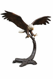 Aigle sur branche — B91359