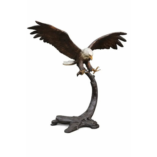 Aigle sur branche — B91359