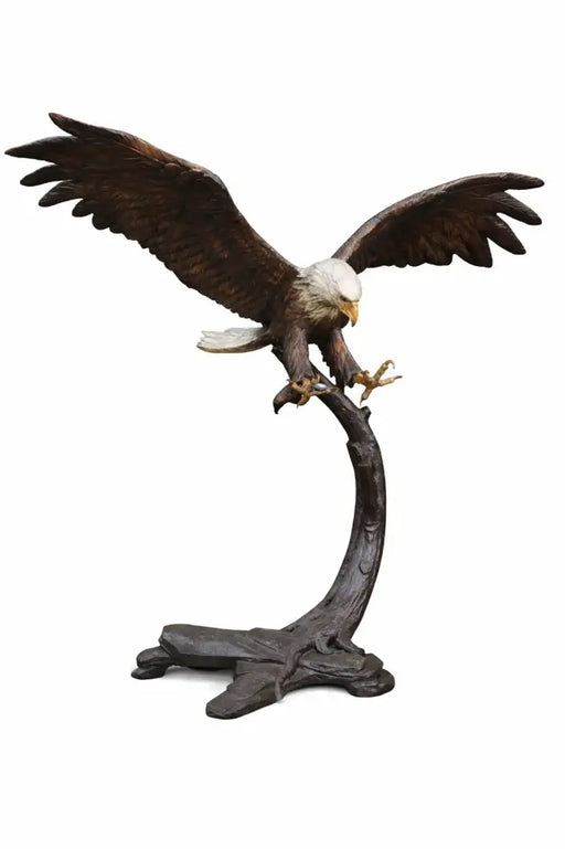 Aigle sur branche — B91359
