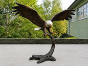 Aigle sur branche — B91359