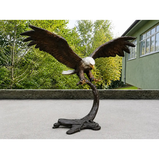 Aigle sur branche — B91359