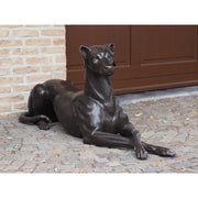 Chien Couché Gauche — B94539