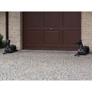 Chien Couché Gauche — B94539