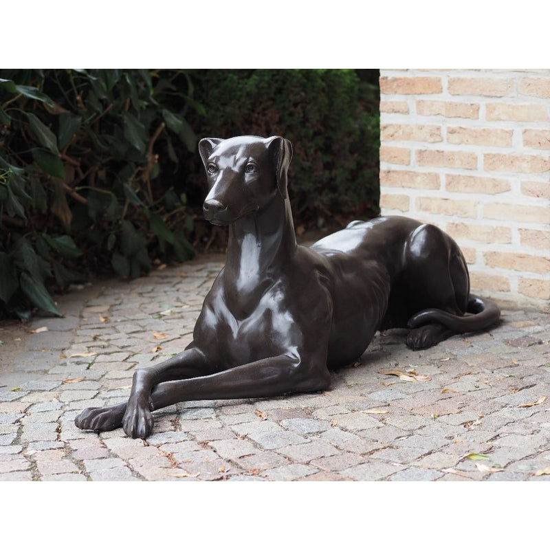 Chien Couché Droite — B94540