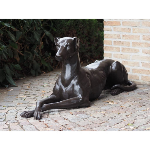 Chien Couché Droite — B94540