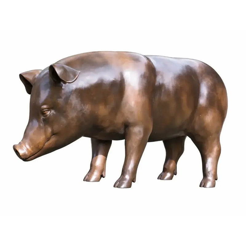 Cochon — B94547