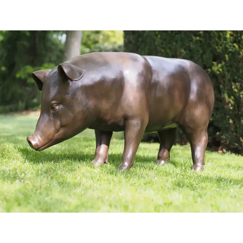 Cochon — B94547