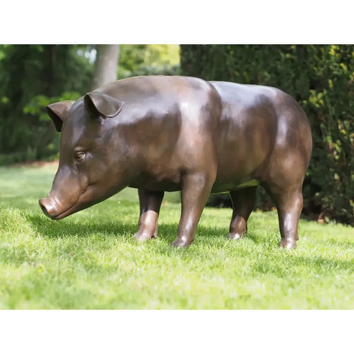Cochon — B94547