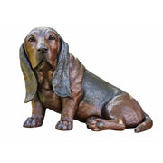 Basset — B94644