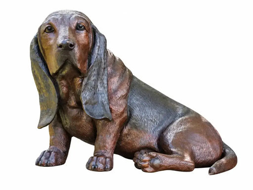 Basset — B94644