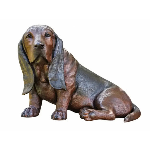 Basset — B94644
