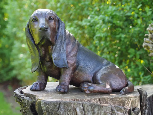 Basset — B94644