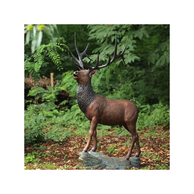 Grand Cerf — B955